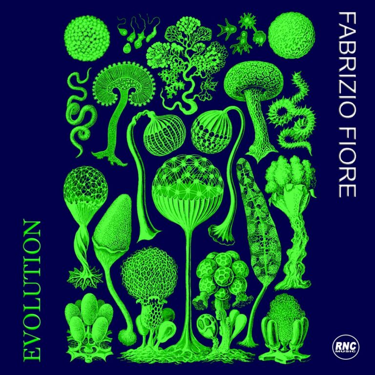 FABRIZIO FIORE – Evolution